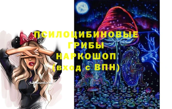 мяу мяу мука Гусиноозёрск