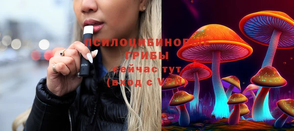 мяу мяу мука Гусиноозёрск