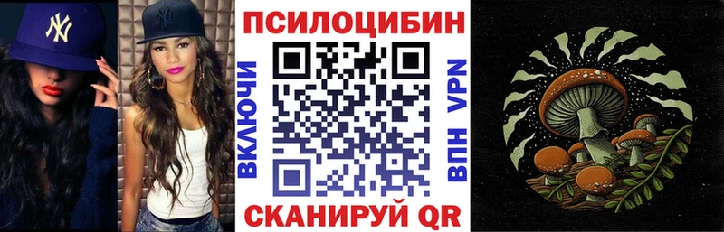 KRAKEN ТОР Жердевка Псилоцибиновые грибы GOLDEN TEACHER